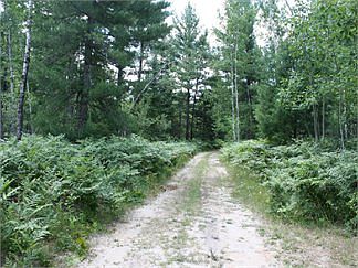 4th image of 5520 E West Branch Rd