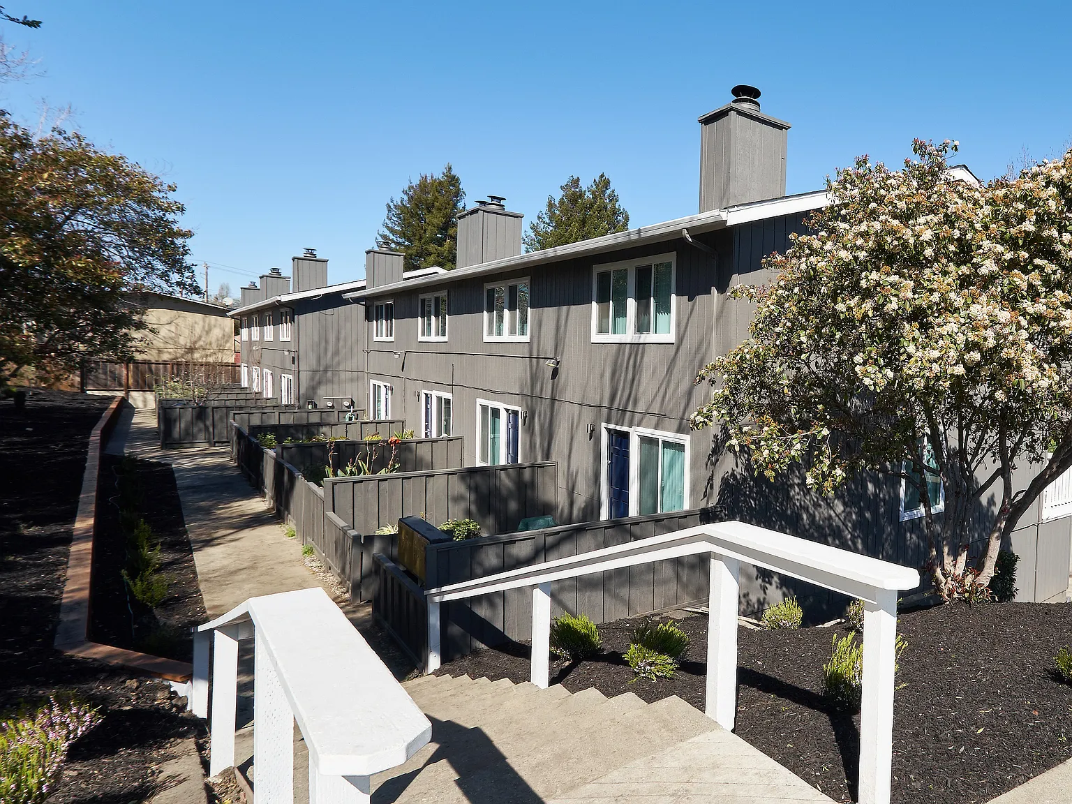 Miles Lane Apartments — Photo 2