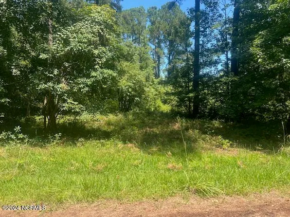 0 Pine Lane, Whiteville, NC 28472