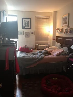 Rented by Oxford Property Group | media 14