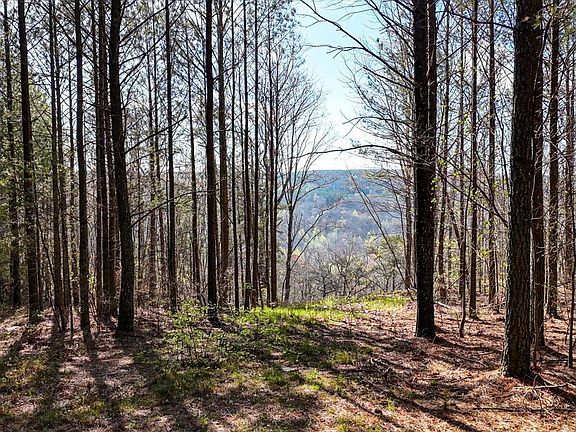 2nd image of 1350 Split Rail Way