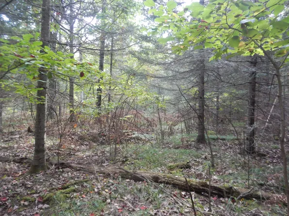 Candy Ln, Rhinelander, WI 54501