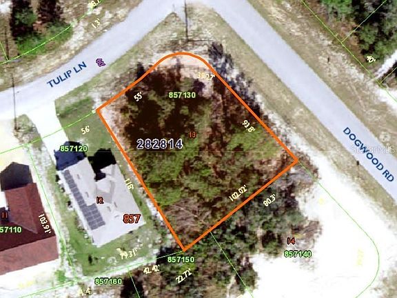 4th image of 100 Tulip Ln