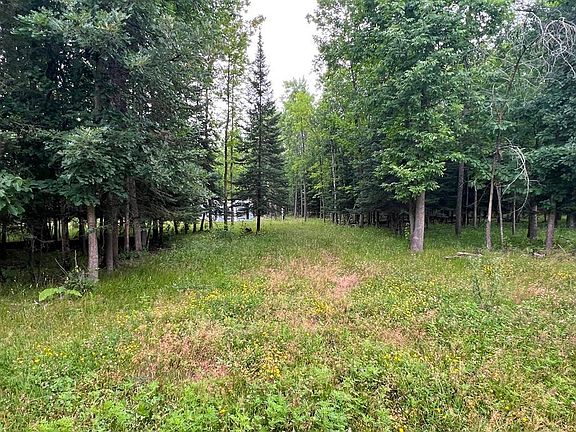 2nd image of 42228 County Road 234