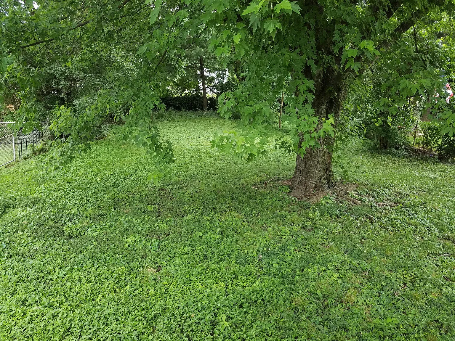 3 bed, 1500 sqft, $1,300 — Photo 4