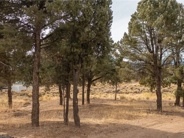 1872 Golden Rod Ave, Big Bear City, CA 92314