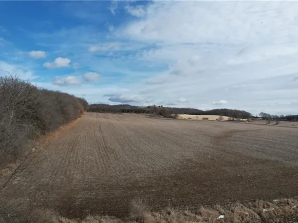 XXX County Road Z, Eau Galle, WI 54737