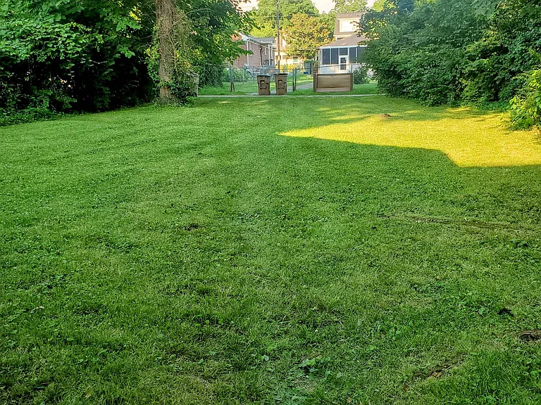 Lots of backyard privacy .