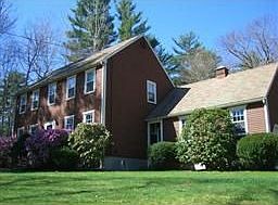 Lovely Yard