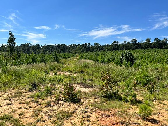 3rd image of Long Cane Creek Rd