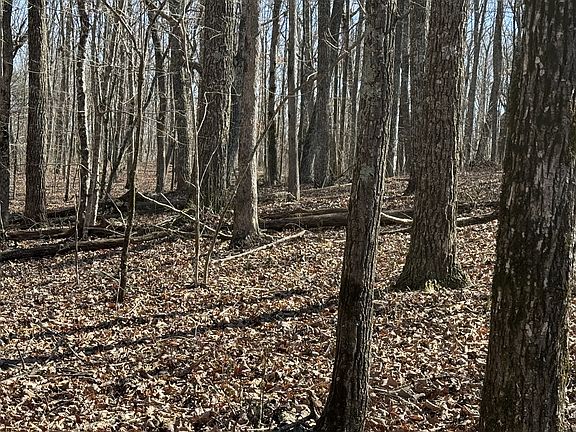 5th image of 0 Timberwood Trce Lot 328