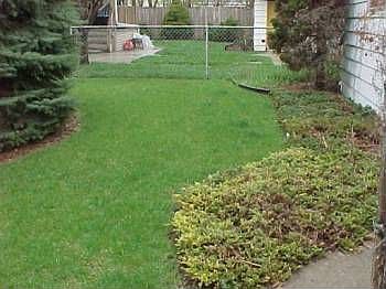 2nd image of 2836 Ruby St