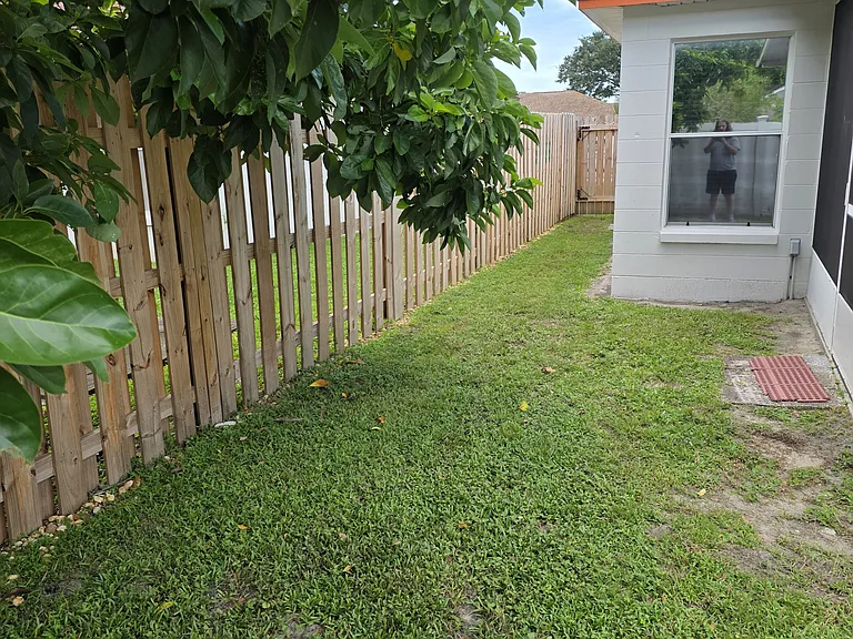 backyard picture