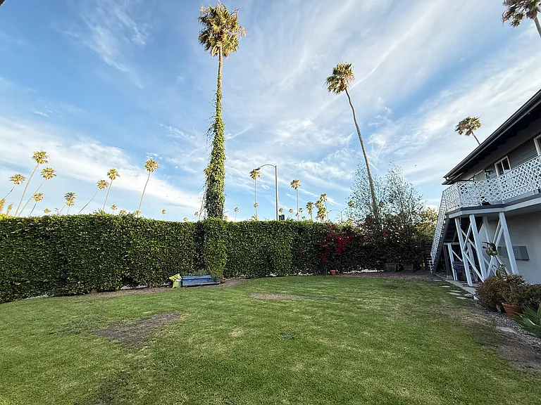805 Venice Blvd #4 — Photo 8