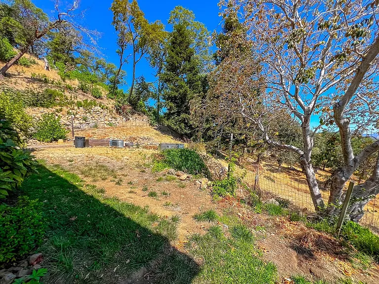 4398 Atlas Peak Rd — Photo 29