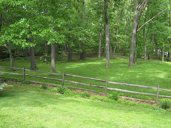 Backyard - Roosevelt Park