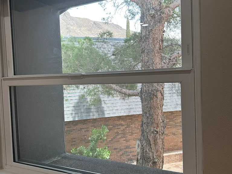 View from bedroom window