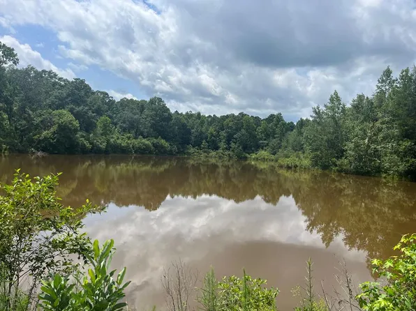 County Road 40, Abbeville, AL 36310