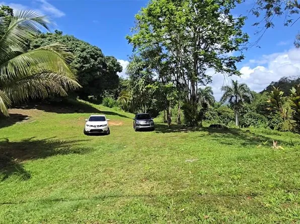 Bo Borinquen, Caguas, PR 00725