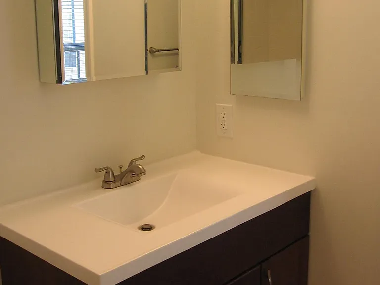 Master Bathroom Sink