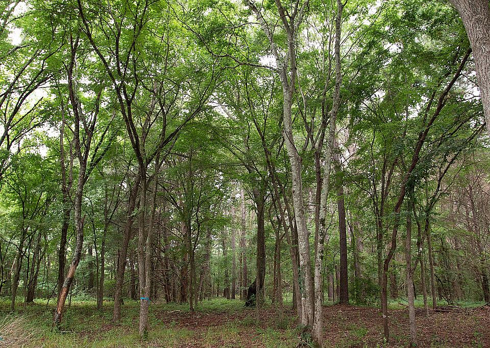 2nd image of 263 County Road 4123