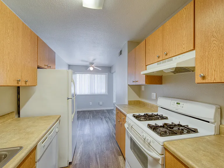 The Carla Apartments — Photo 26