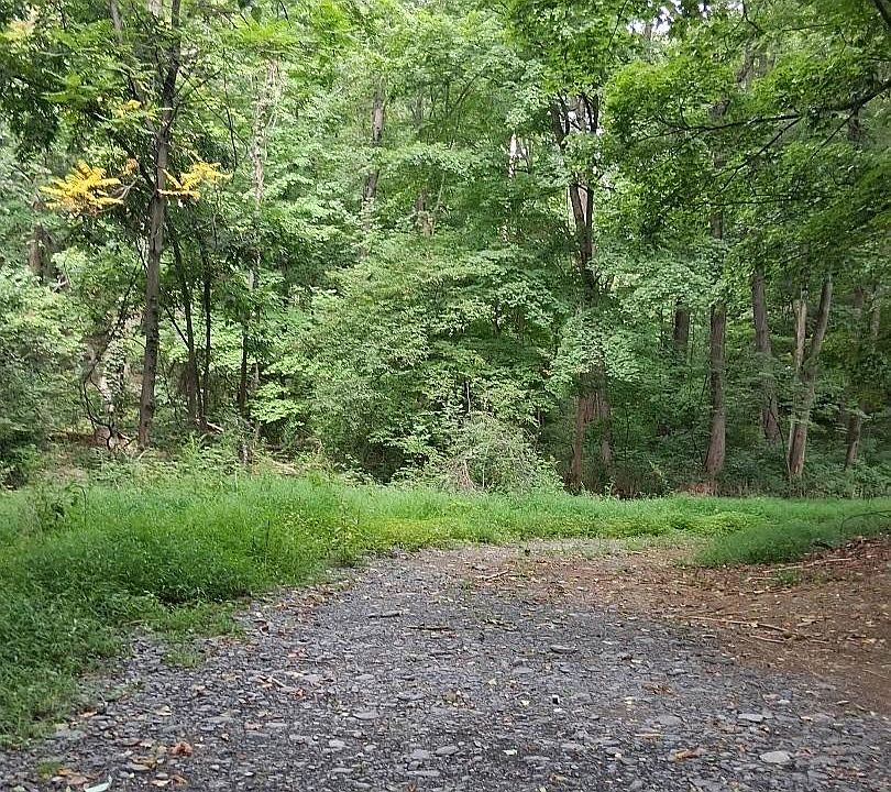 2nd image of Museum Village Road