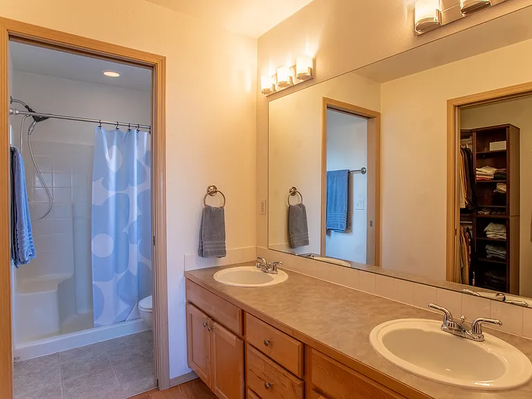 Primary suite bathroom