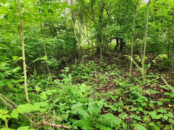 0 Cliffwood Dr, Newport, TN 37821