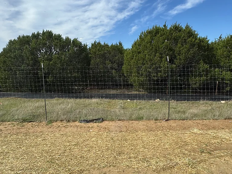 350 Azalea Trl — Photo 6