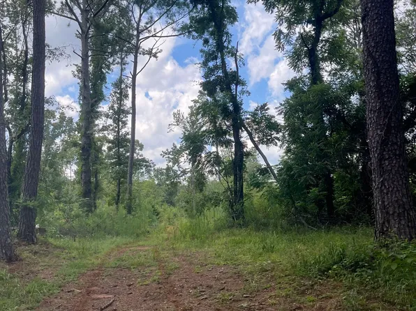 0 Anderson Rd, Woodland, GA 31836