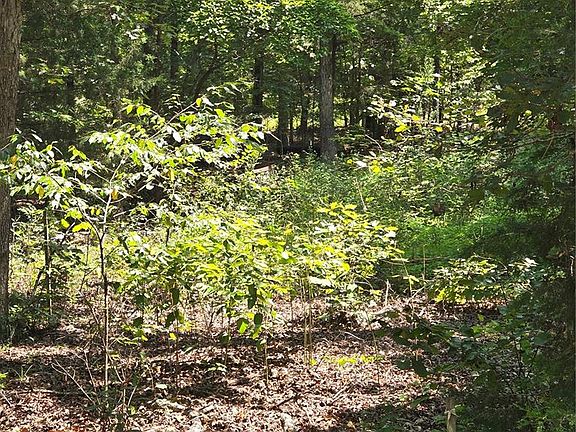 5th image of 1 County Road 421