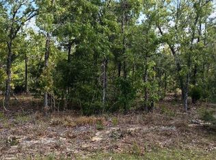 0 Malauka Radl #11, Ocklawaha, FL 32179