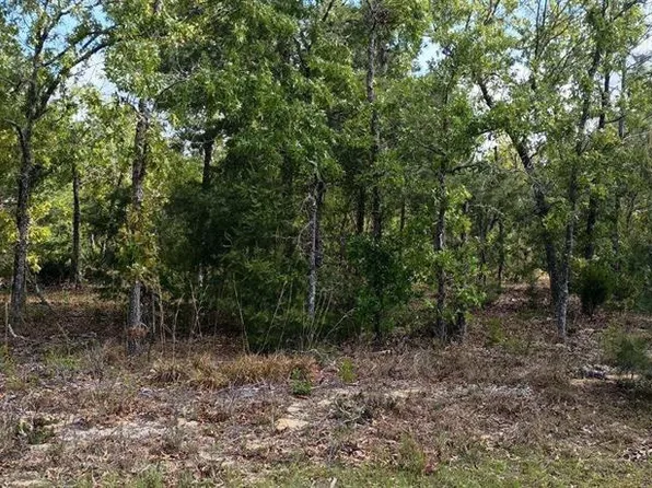 0 Malauka Radl #11, Ocklawaha, FL 32179