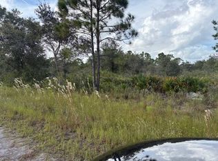 327 Bellanca St NW, Lake Placid, FL 33852