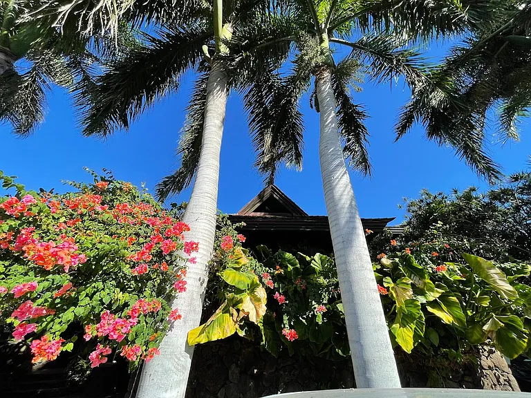 67011 Kaimanu Pl — Photo 14