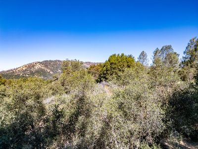 41902 Woodward Way, Ahwahnee, CA, 93601