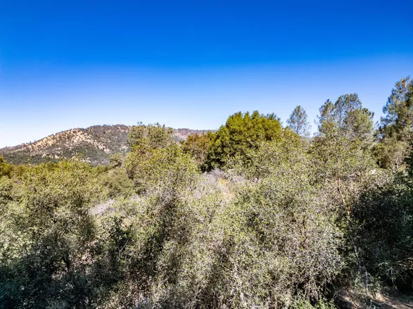 41902 Woodward Way, Ahwahnee, CA 93601