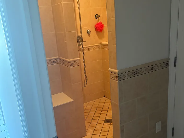 Downstairs walk-in shower and bathroom