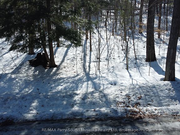 5th image of 44 Ridgeway Dr