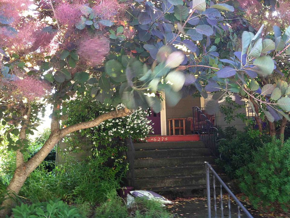2nd image of 6274 19th Ave NE