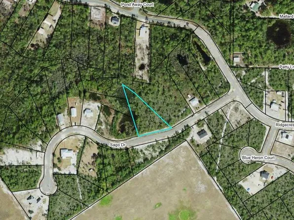 269 Sago Dr, Eastpoint, FL 32328