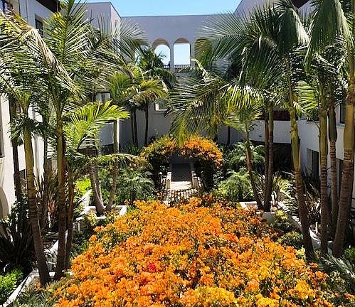 2nd image of 14141 Ventura Blvd