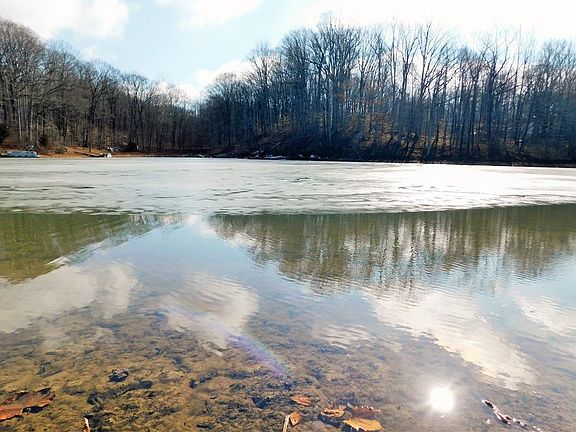 5th image of 0 Locust Lake West Dr