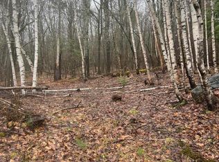 0 Chadbourne Ridge Rd, Waterboro, ME 04087