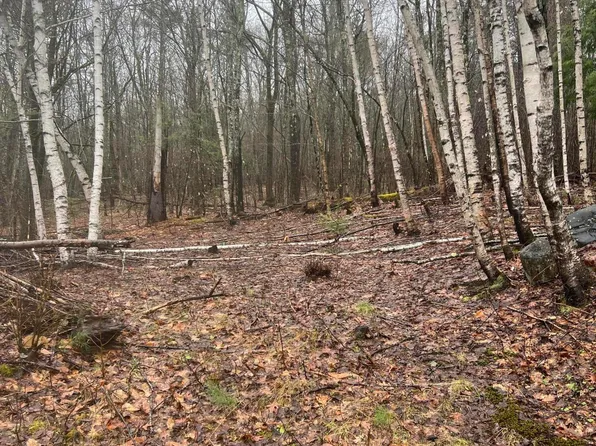 000 Chadbourne Ridge Road, Waterboro, ME 04061