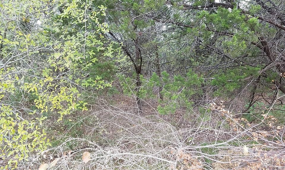 2nd image of 5002 Frio Dr Lot 208