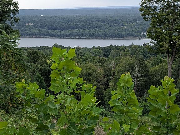 2nd image of 179 Timber Line Trail