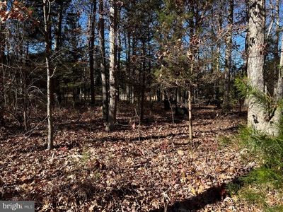0 Wilson Ave, Millville, NJ, 08332