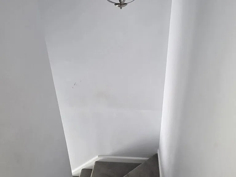 407 Georgian Park Dr — Photo 14